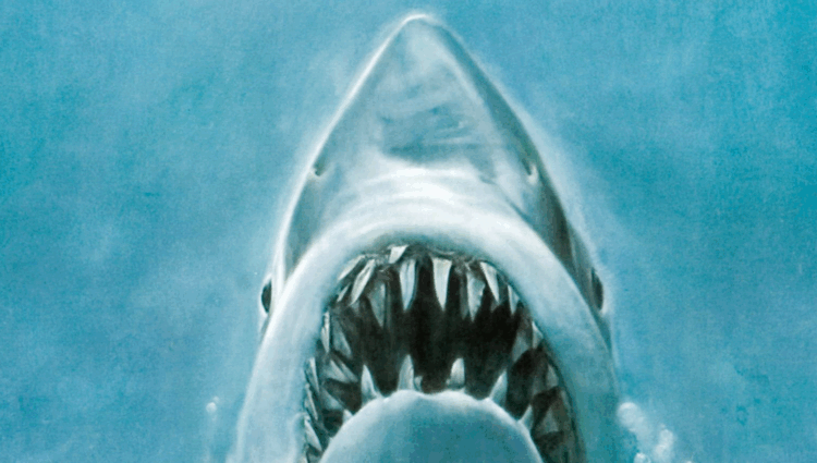 That’s Some Bad Fish Story: Spielberg’s “Jaws” Turns 50